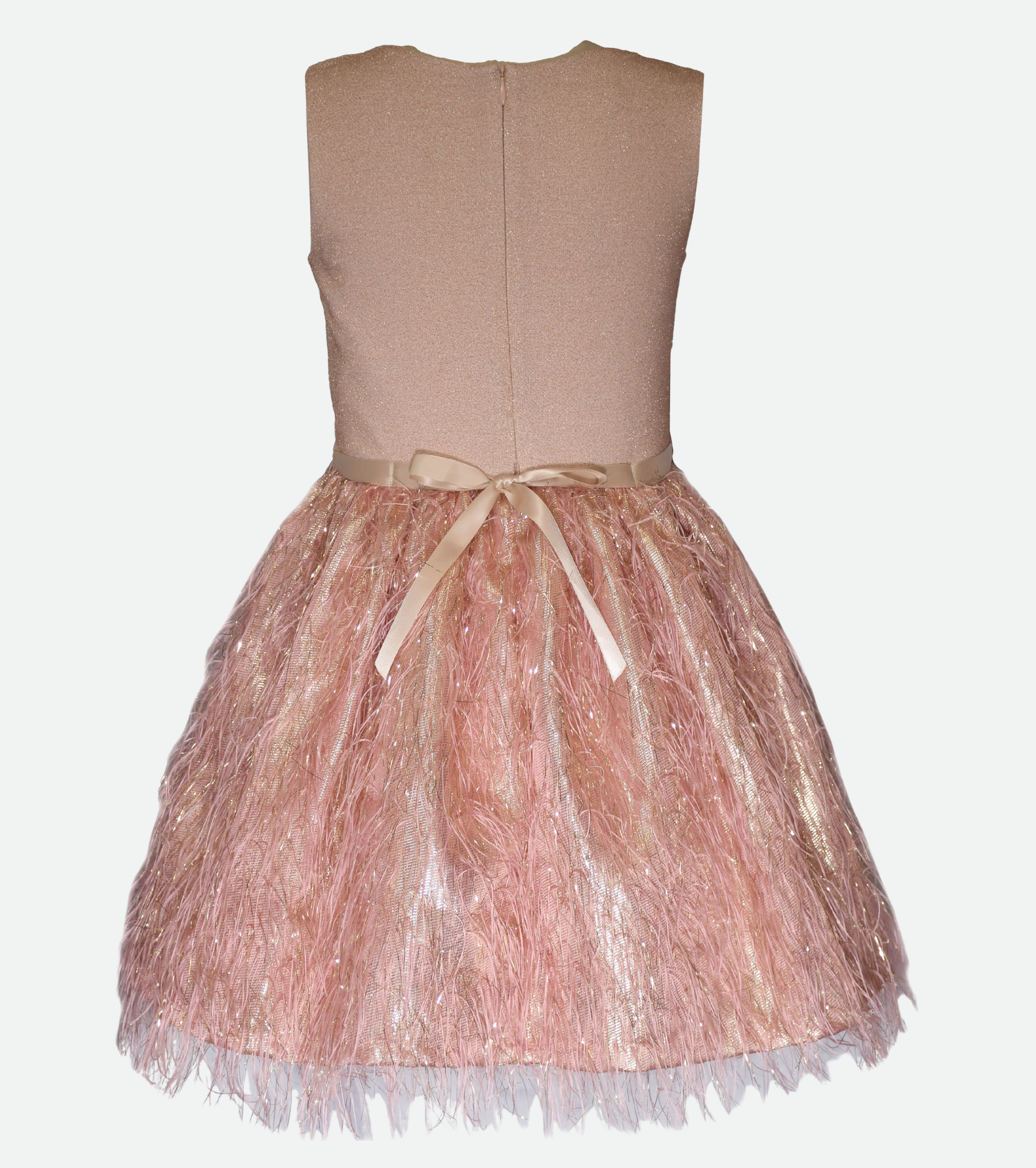 Valentina Feather Party Dress
