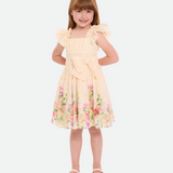 Colette Party Dress with Hat - Image