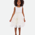 Celia Embroidered Party Dress - Image