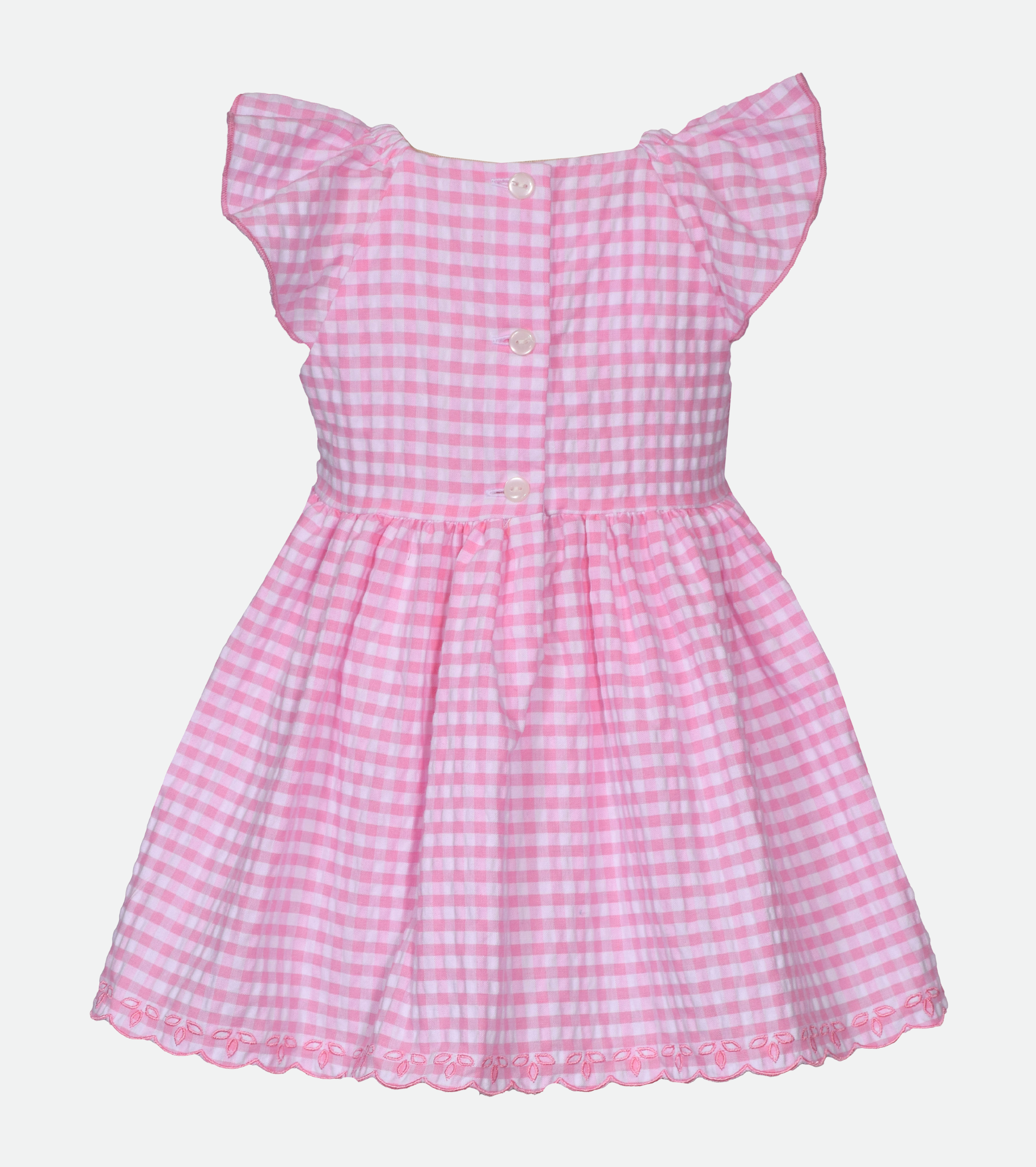 Zoey Embroidered Gingham Dress