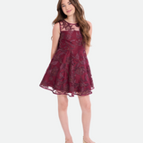 Andrea Embroidered Party Dress - Image