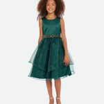 Olivia Tiered Organza Party Dress - Image