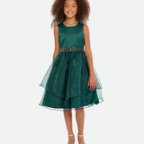 Olivia Tiered Organza Party Dress - Image