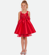 Serena Floral Applique Party Dress