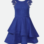 Valorie Sparkle Knit Skater Dress - Image 
