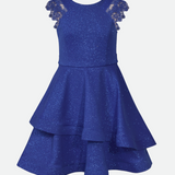 Valorie Sparkle Knit Skater Dress - Image 