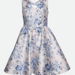 Bianca Toile Print Party Dress - Image 