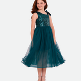 Elena Sequin Mesh Gown - Image 