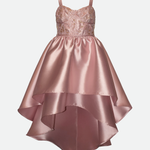 Anabelle Embroidered High-Low Party Dress - Image 