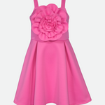 Emily Rosette Skater Dress - Image 