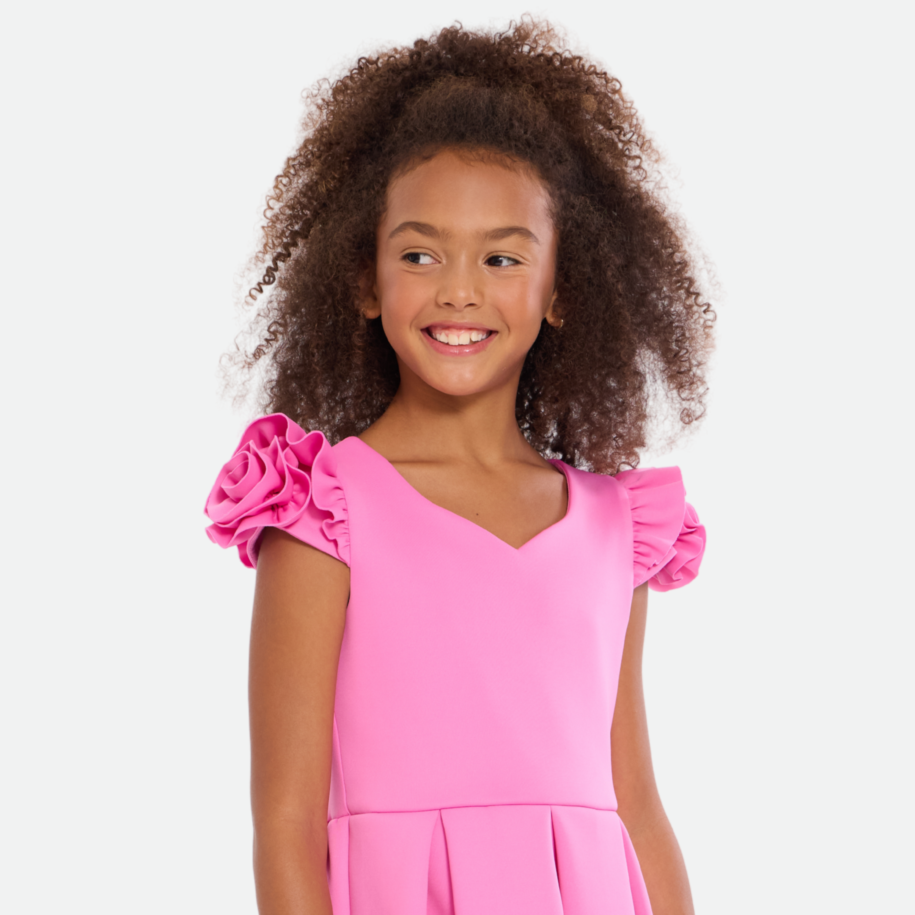 Isabella Rosette Sleeve Skater Dress