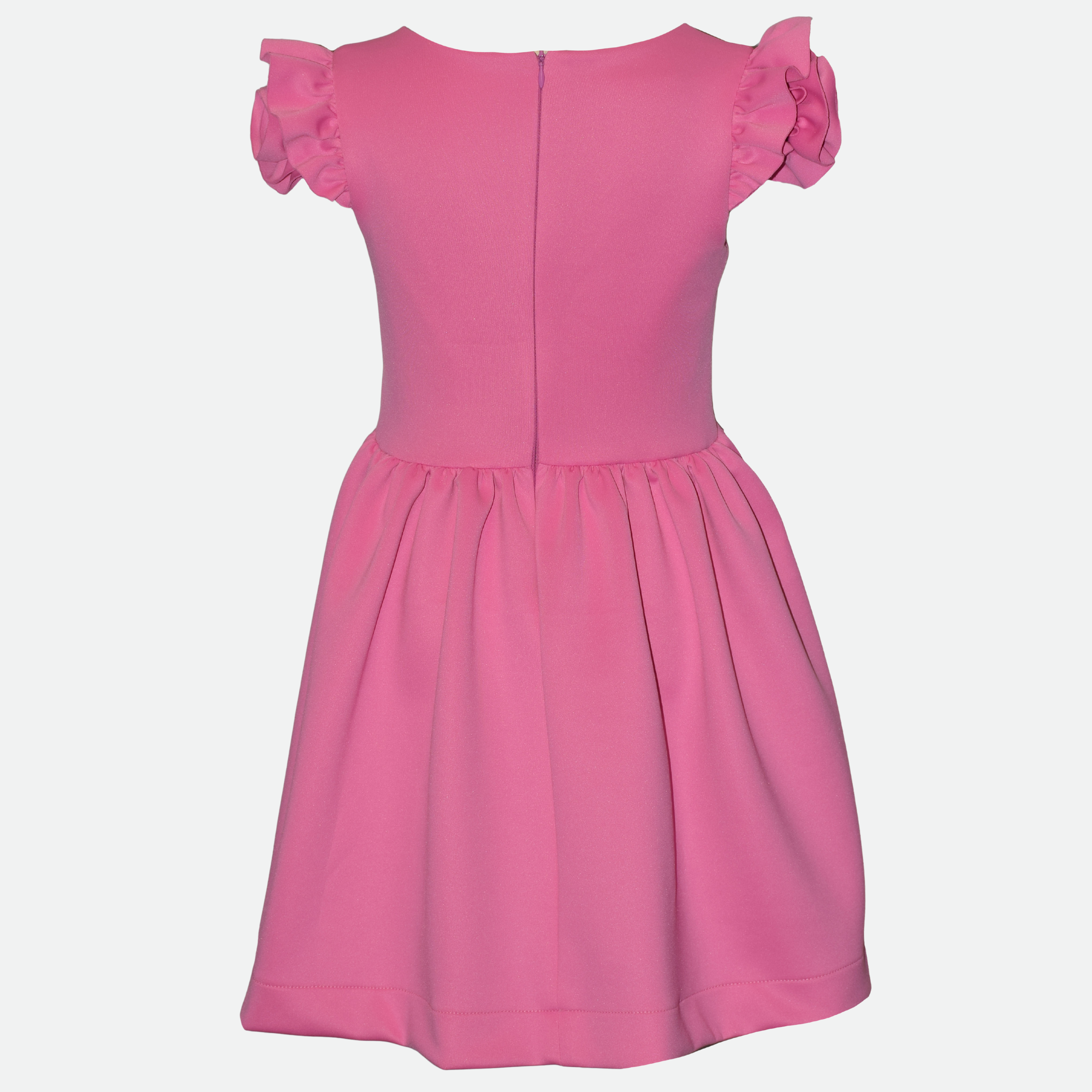 Isabella Rosette Sleeve Skater Dress