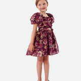 Lea Chiffon Puff Sleeve Dress - Image 
