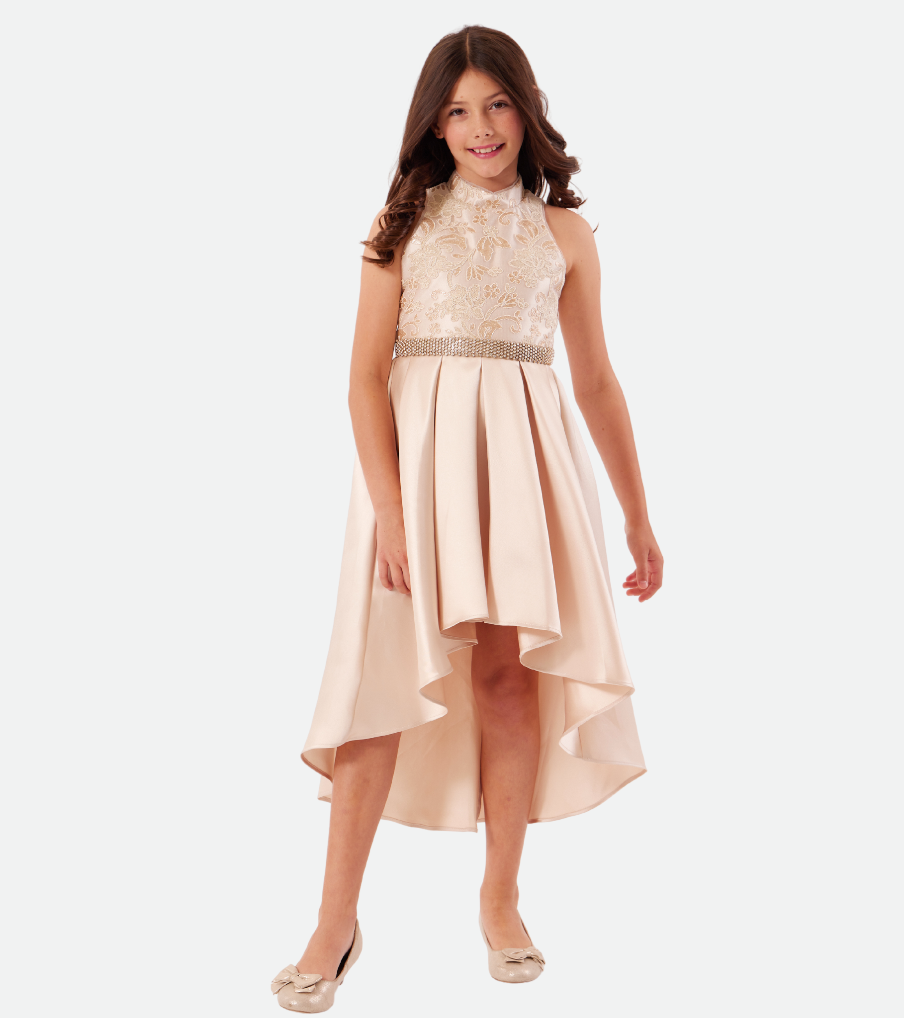 Anastasia Embroidered Gown