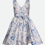 Bianca Toile Print Party Dress - Image 