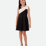 Natalie Skater Sash Dress - Image 