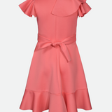 Clementine Side Ruffle Skater Dress - Image 