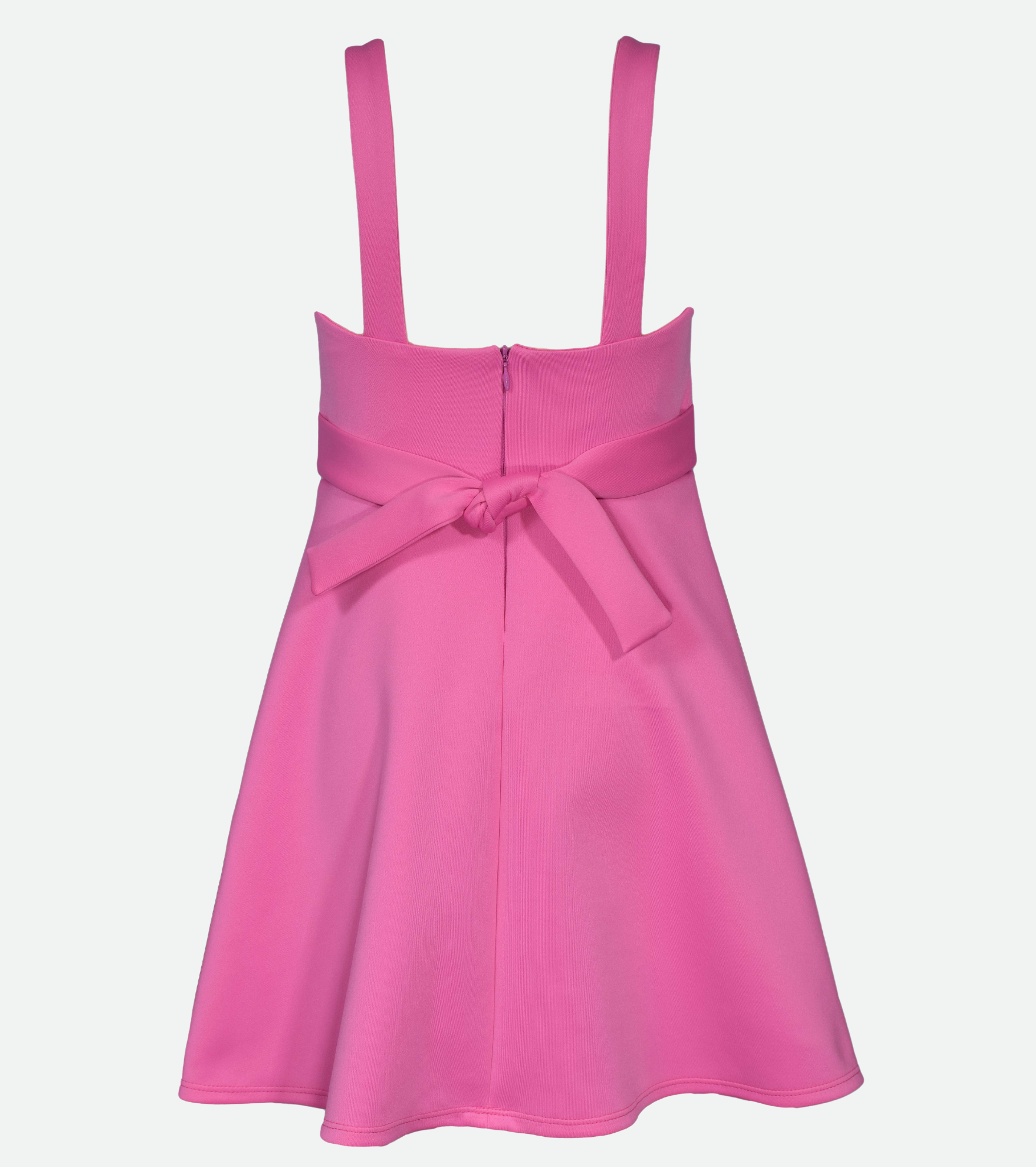 Emily Rosette Skater Dress
