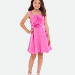 Emily Rosette Skater Dress - Image 