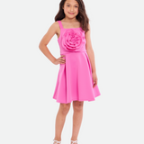 Emily Rosette Skater Dress - Image 