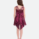 Andrea Embroidered Party Dress - Image 