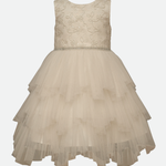 Bianca Tiered Mesh Party Dress - Image 