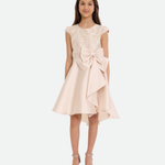 Emilia Embroidered High-low Party Dress - Image 