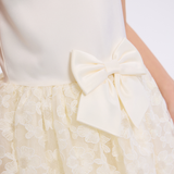 Melody Embroidered Lace Party Dress - Image 