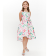 Isabella Floral Dress